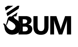 Bum